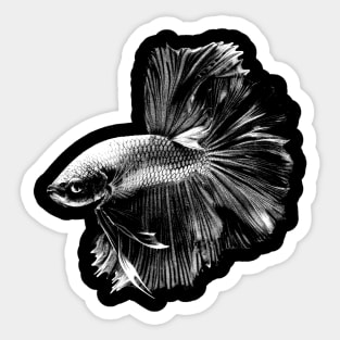 Betta Fish Vintage Sticker